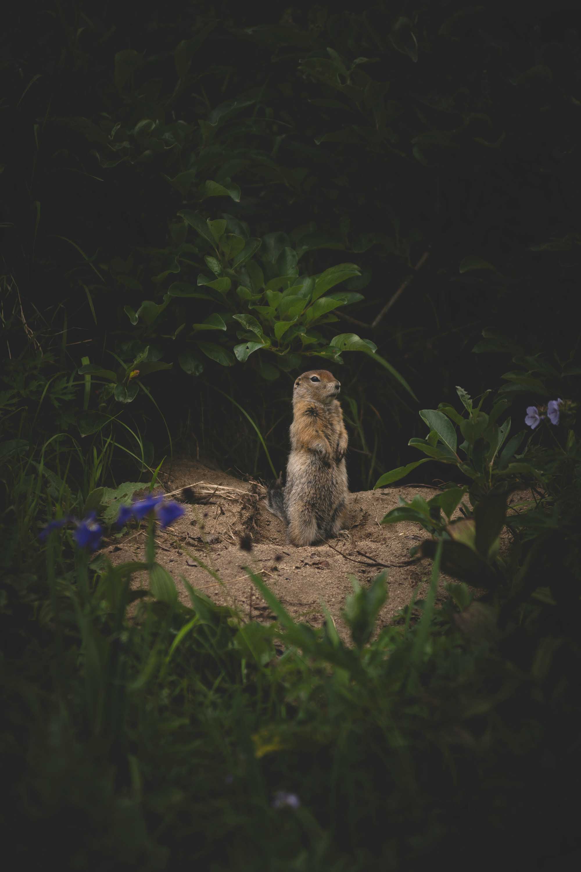 What They Call Luck, Heaven Calls Grace