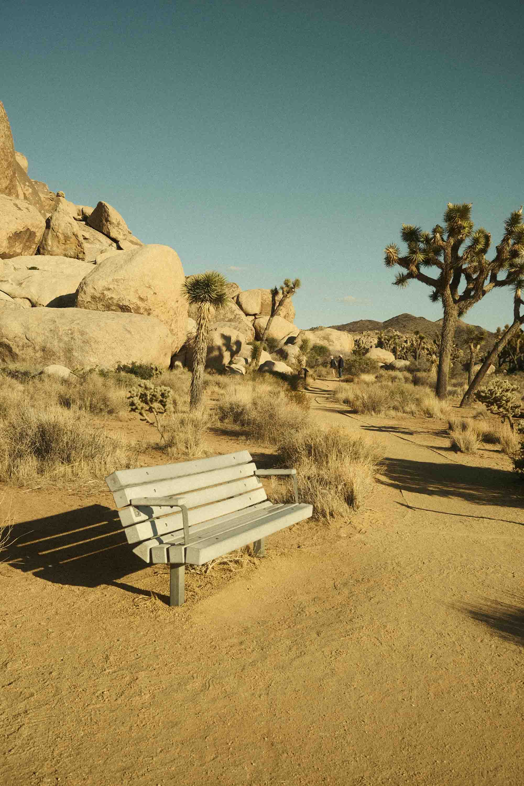 A Reckoning of Consequence – Reflecting on the Harvest of Our Lives