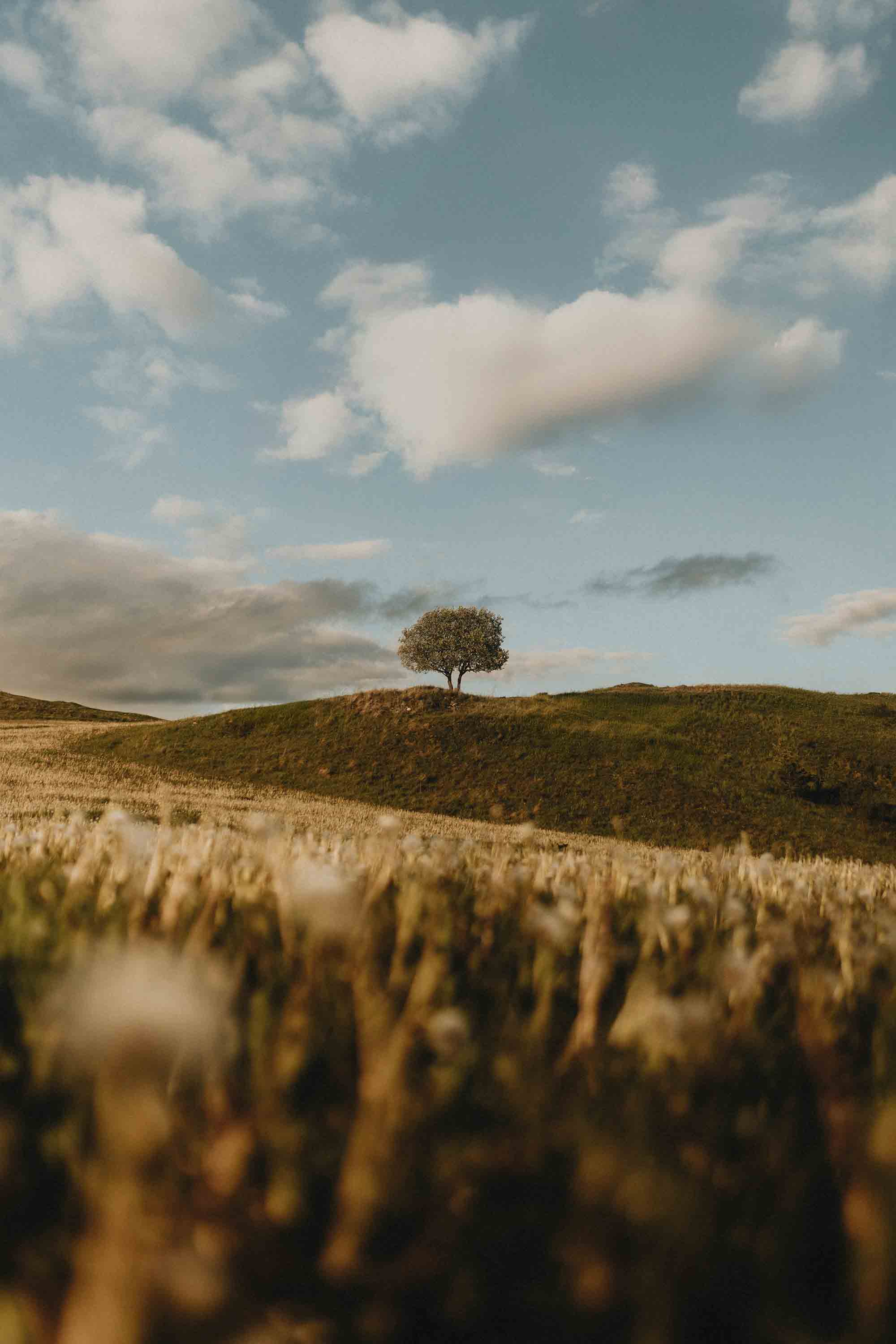 Inspired by Psalm 109 – A Conversation About Betrayal, Justice, and Trust