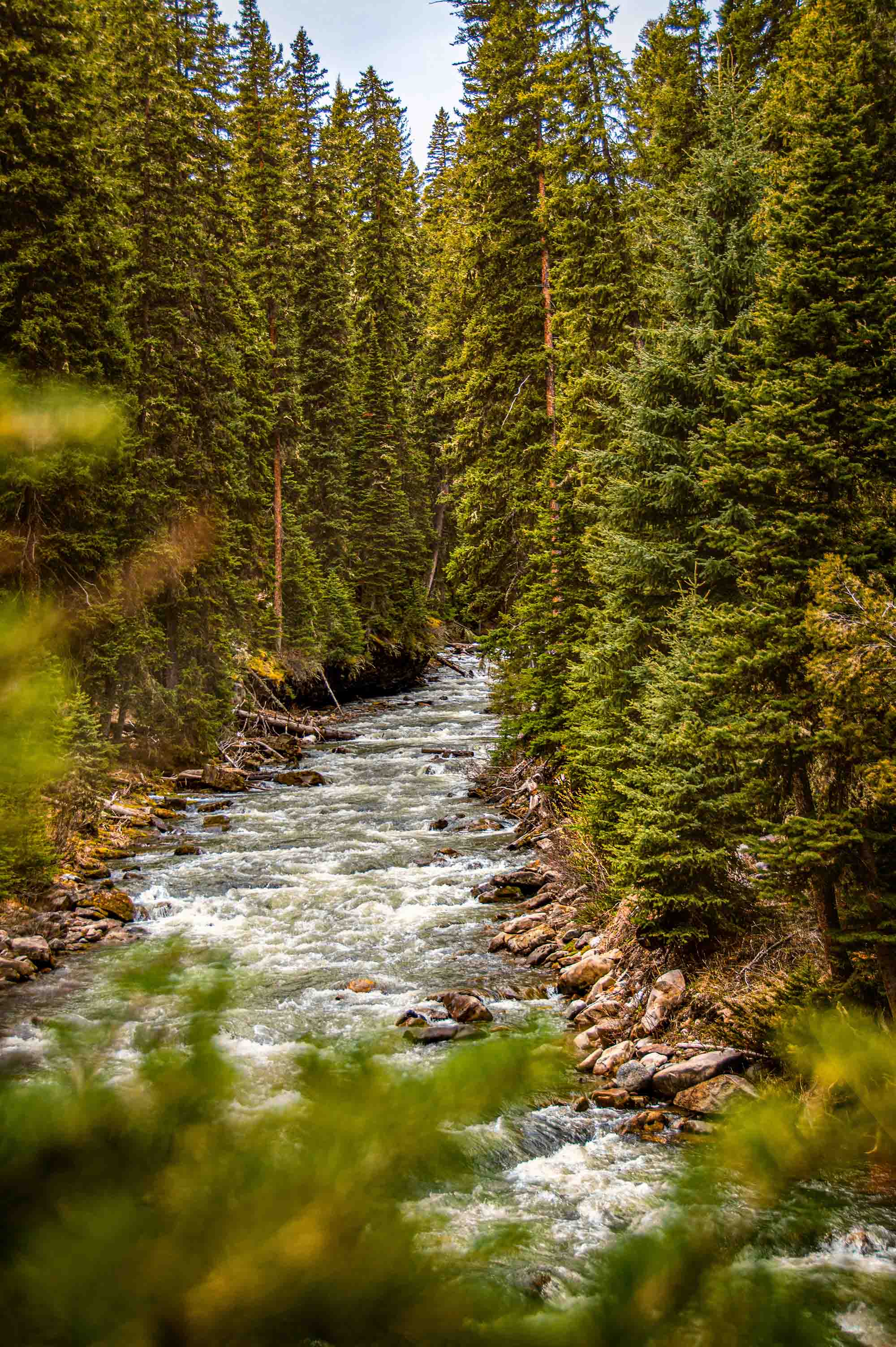 The Next Time You Consider Losing Your Patience