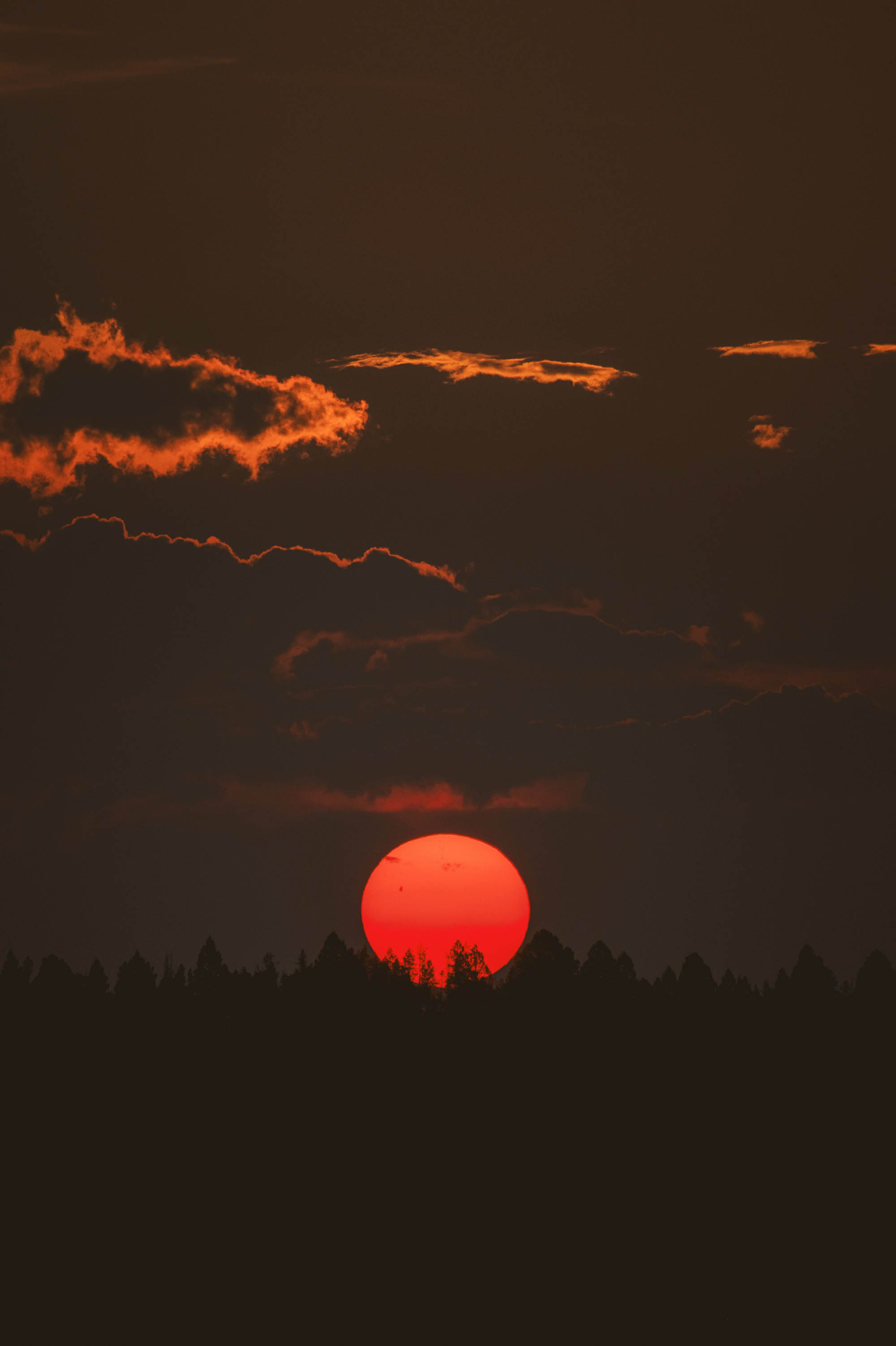 Inspired by Song of Solomon 5:6–16