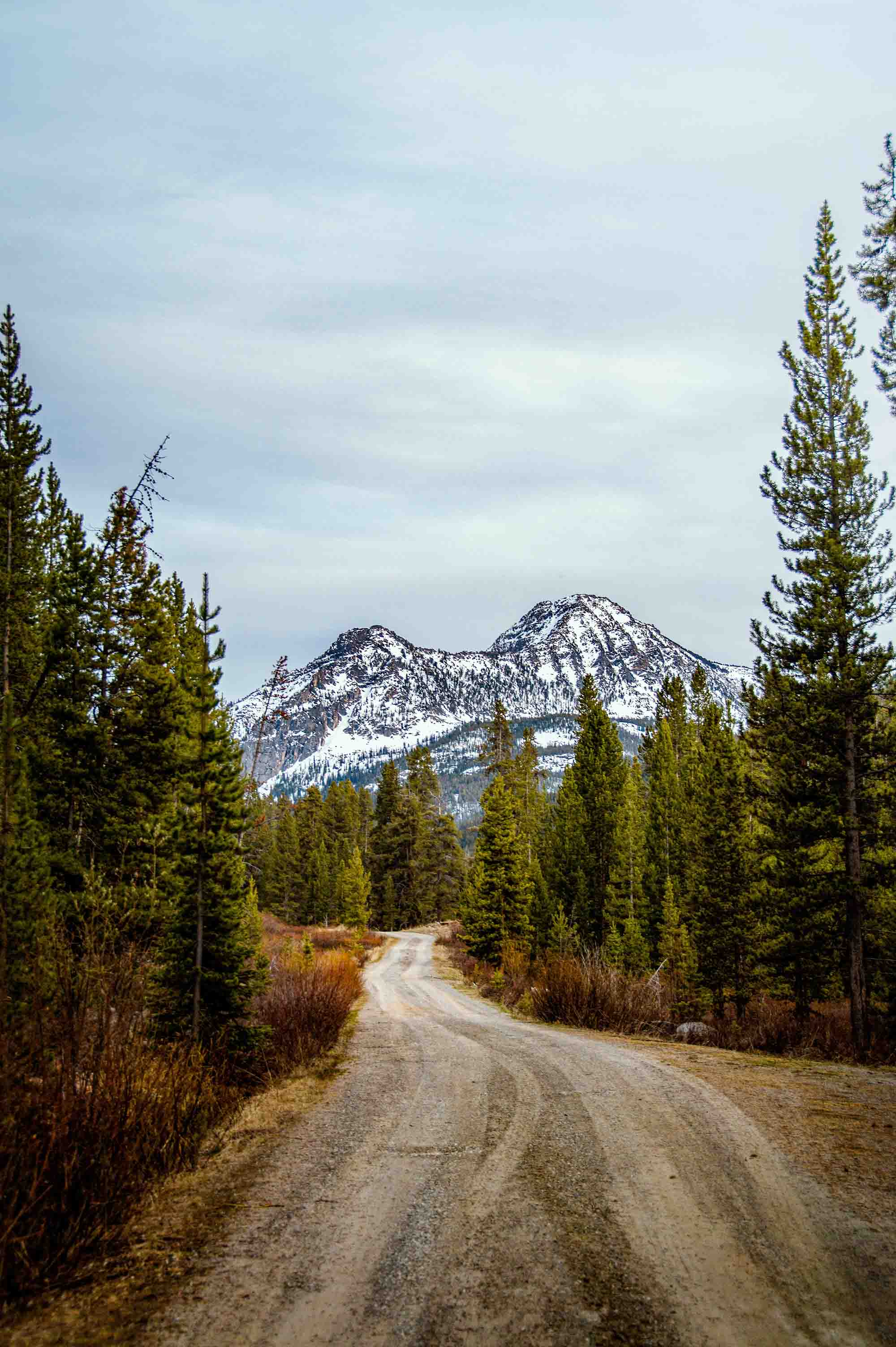 Inspired by Colossians 1:1–14