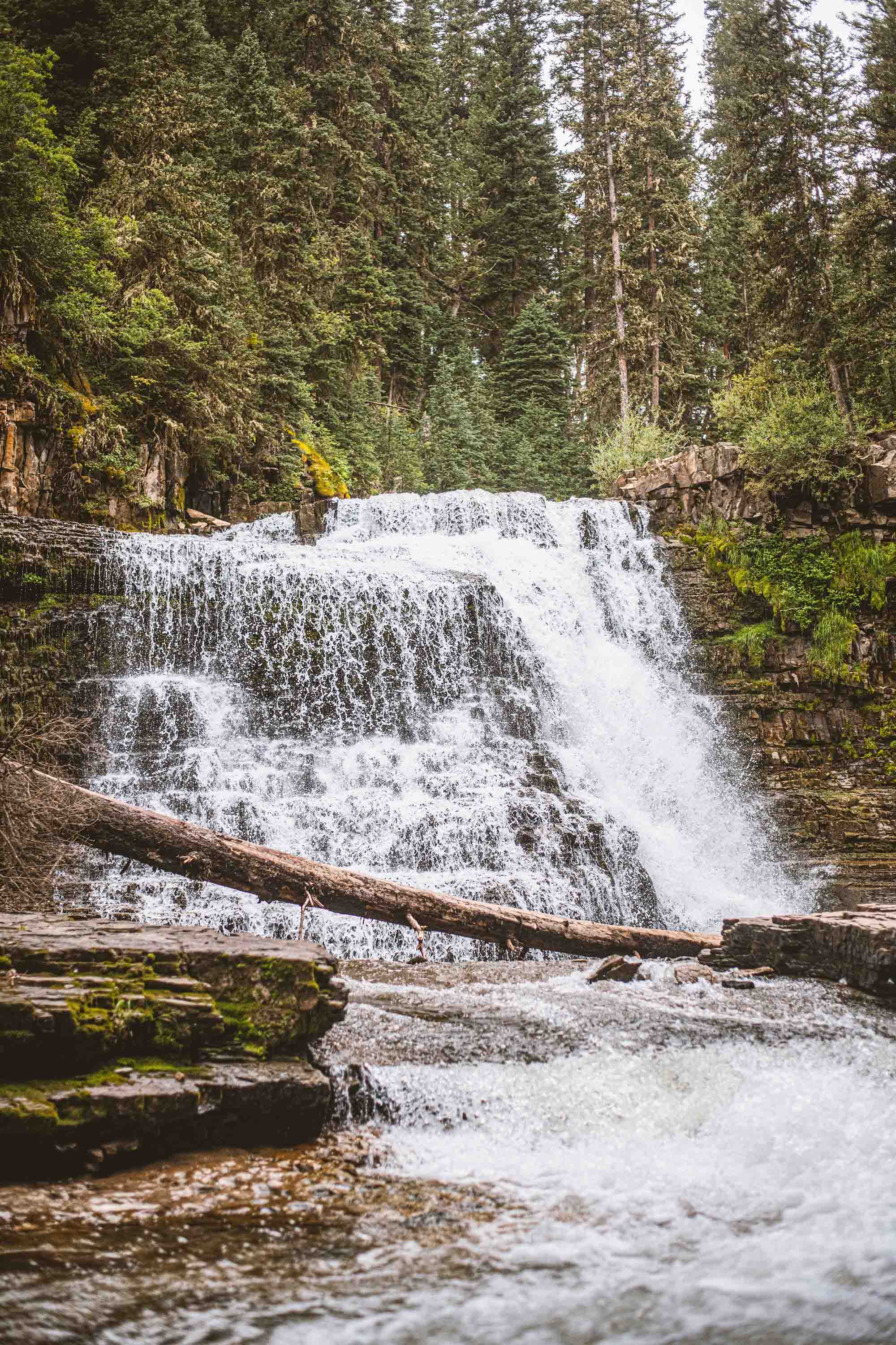 Waves Rise, But He Speaks